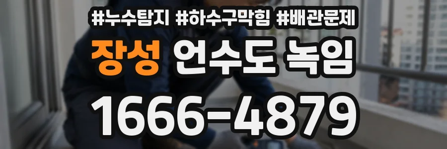 장성 언수도 녹임