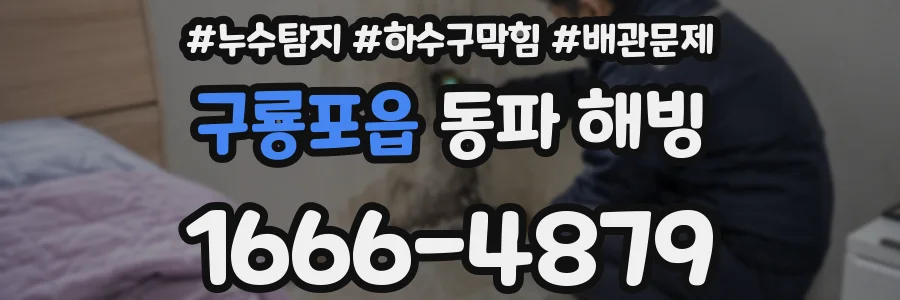 구룡포읍 동파 해빙