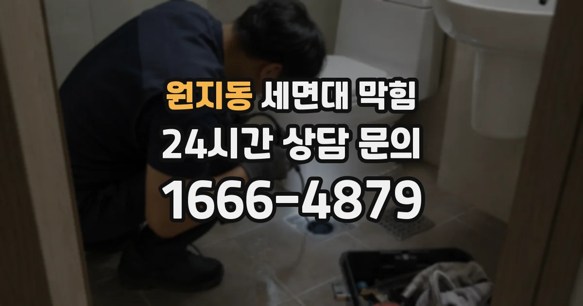 원지동 세면대 막힘