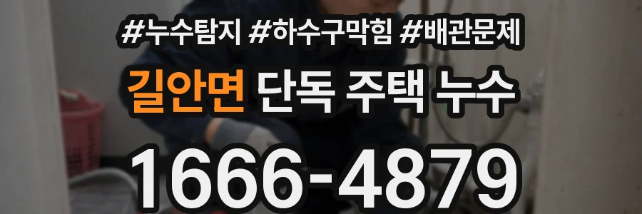 길안면 단독 주택 누수