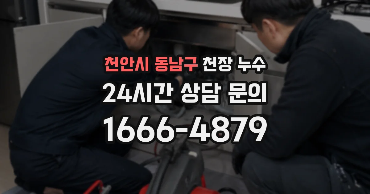 천안시 동남구 천장 누수