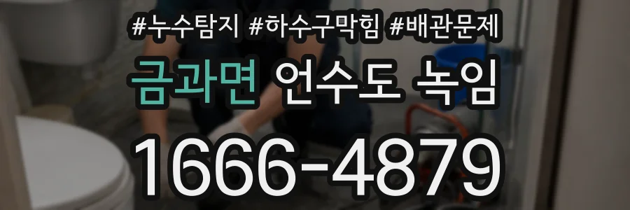 금과면 언수도 녹임