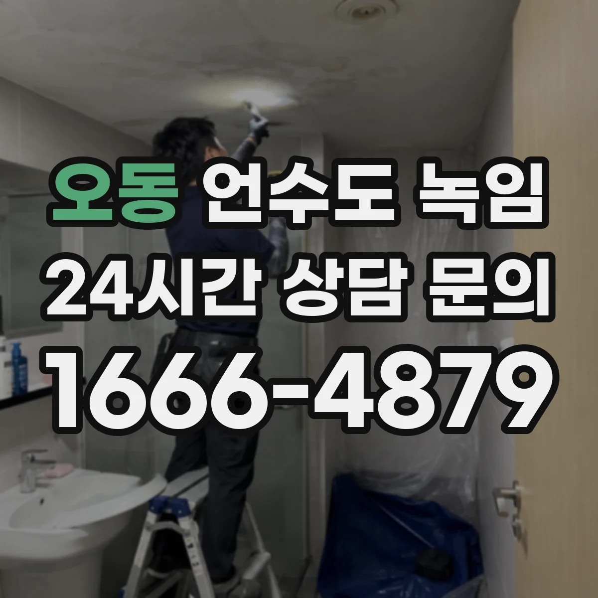 오동 언수도 녹임