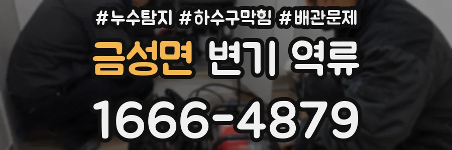 금성면 변기 역류