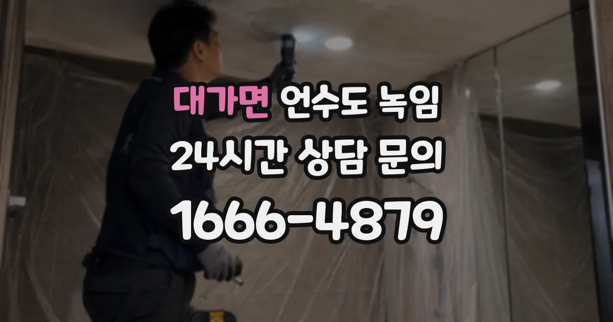 대가면 언수도 녹임