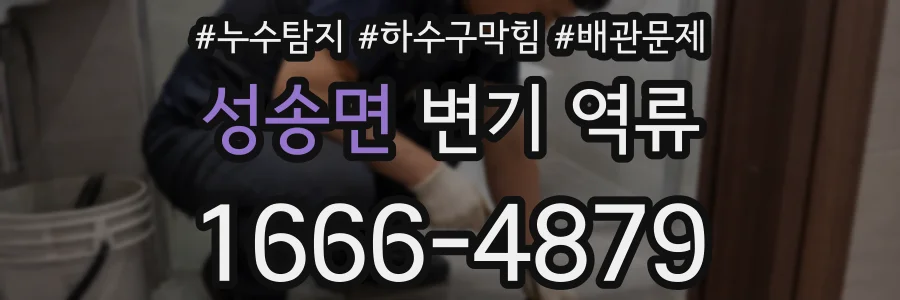 성송면 변기 역류