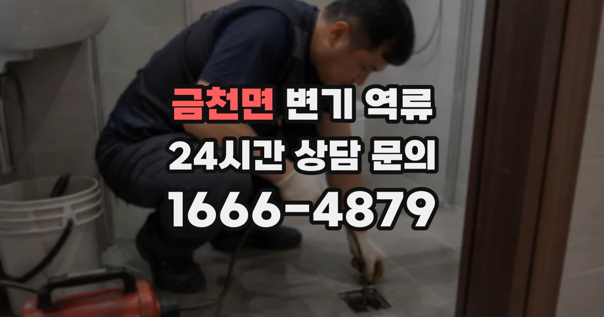 금천면 변기 역류