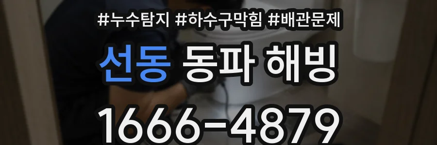 선동 동파 해빙