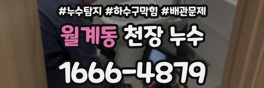 월계동 천장 누수