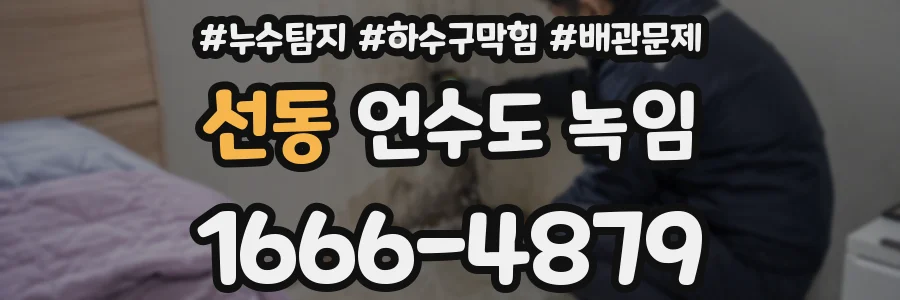 선동 언수도 녹임