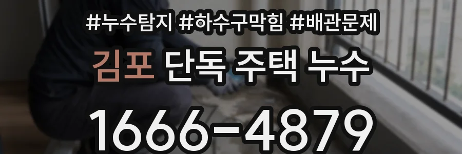 김포 단독 주택 누수