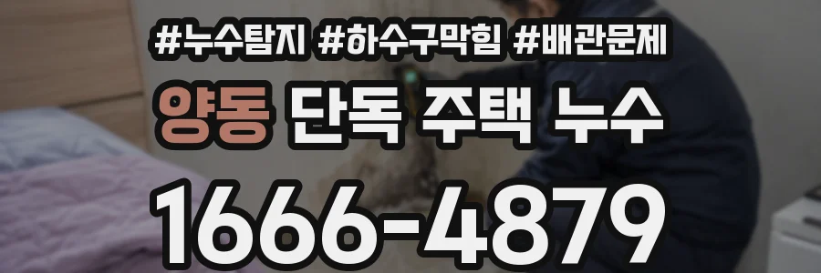 양동 단독 주택 누수