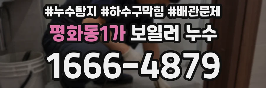 평화동1가 보일러 누수