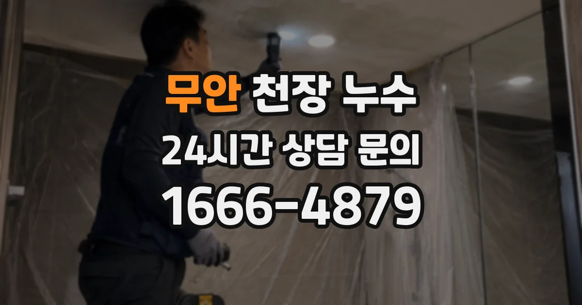 무안 천장 누수
