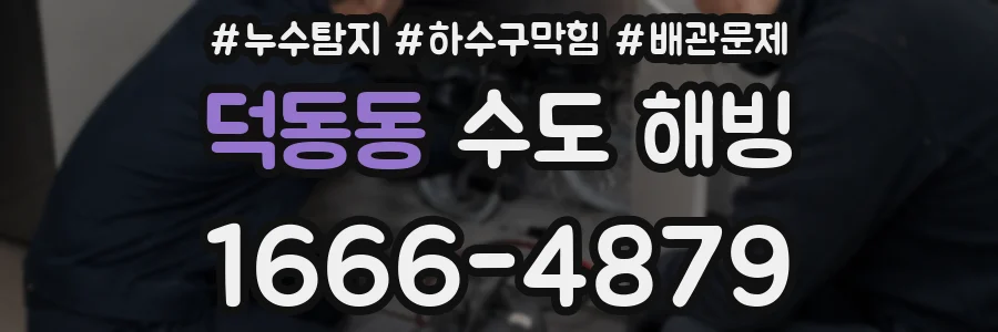 덕동동 수도 해빙