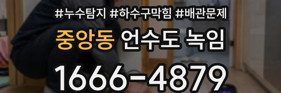 중앙동 언수도 녹임