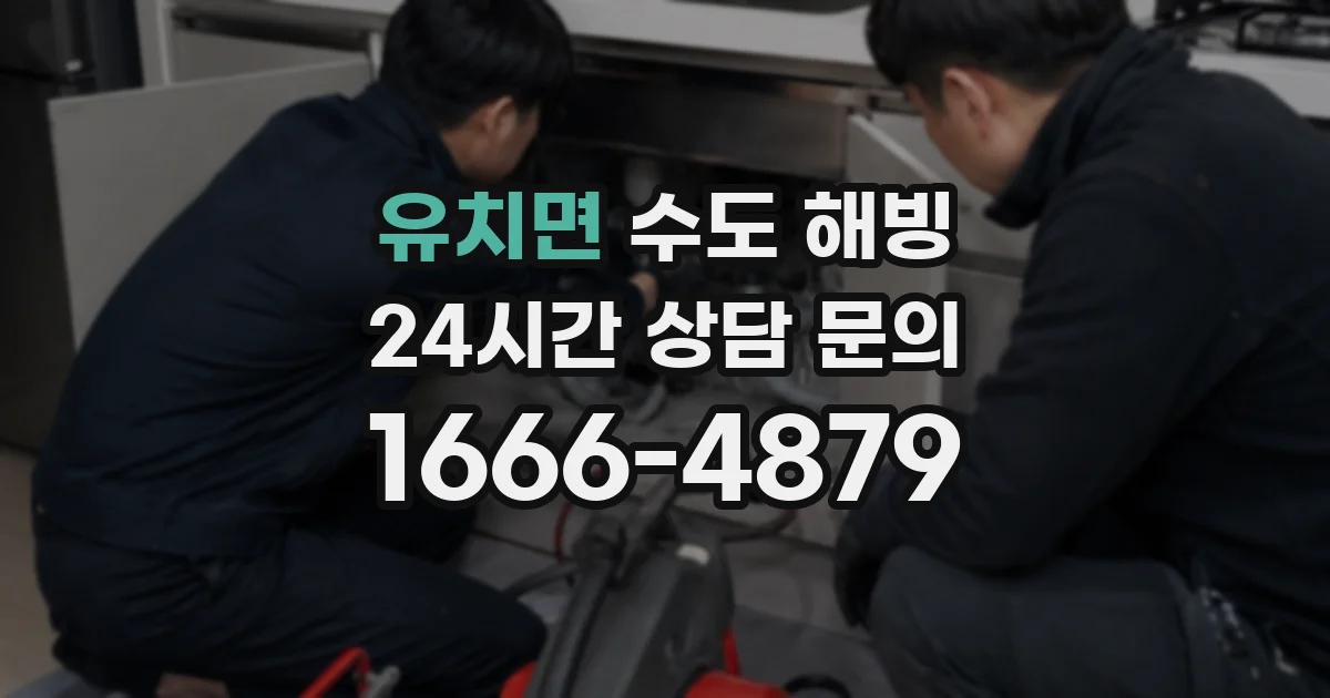 유치면 수도 해빙