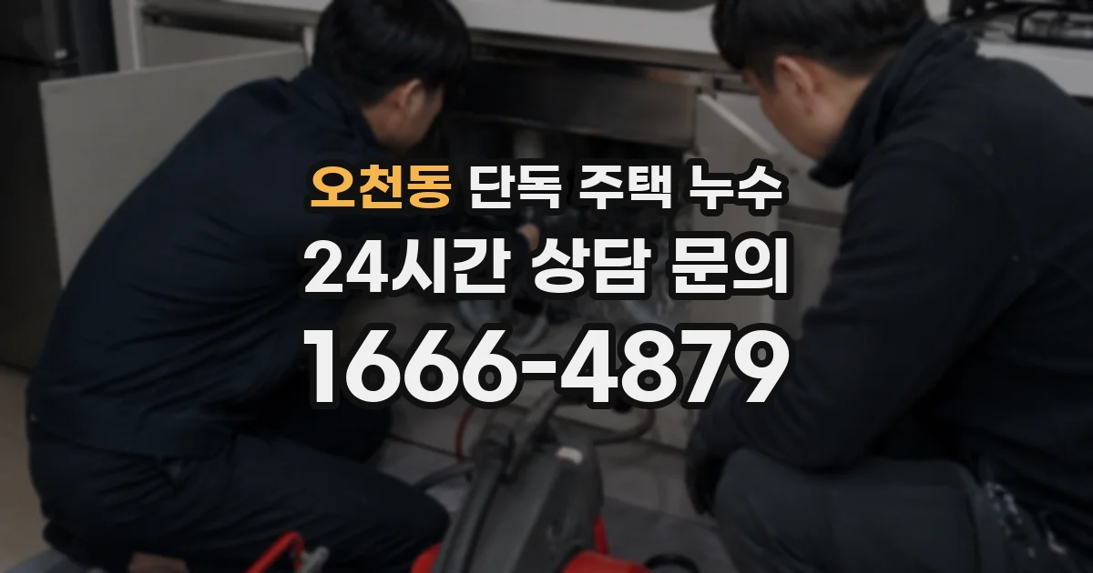 오천동 단독 주택 누수