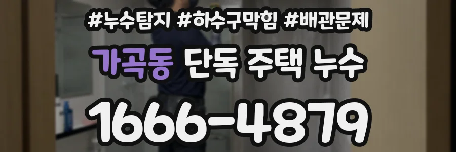 가곡동 단독 주택 누수