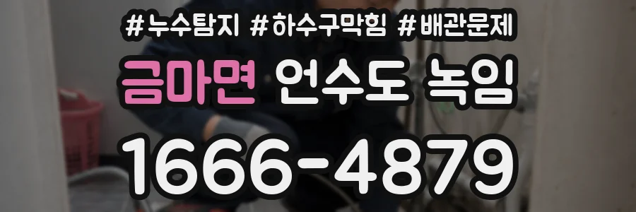 금마면 언수도 녹임