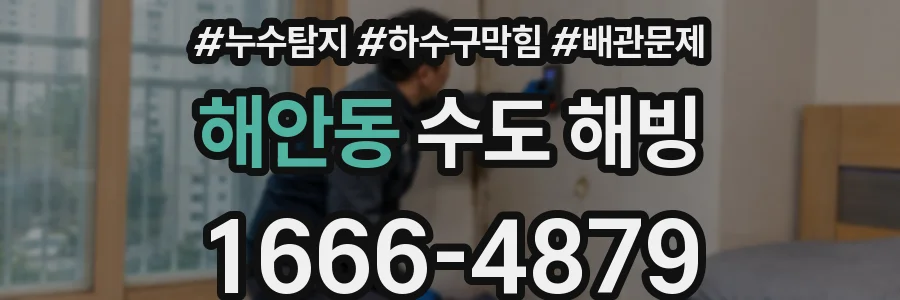 해안동 수도 해빙
