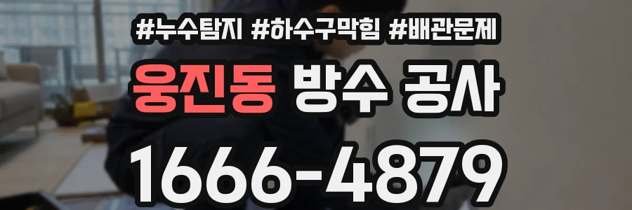 웅진동 방수 공사
