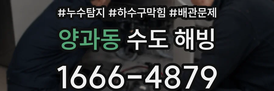 양과동 수도 해빙