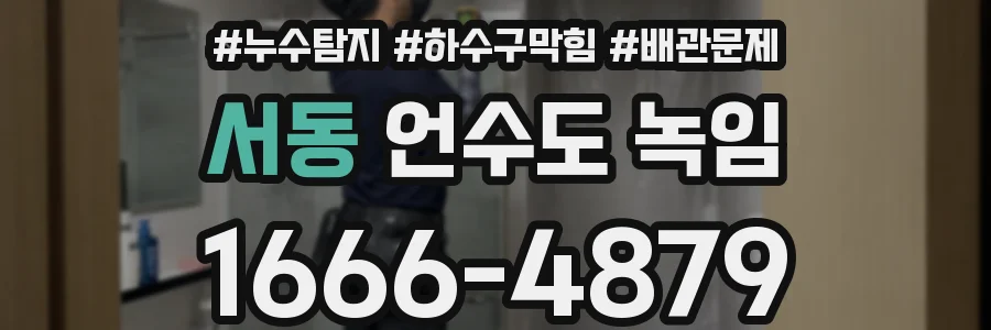 서동 언수도 녹임