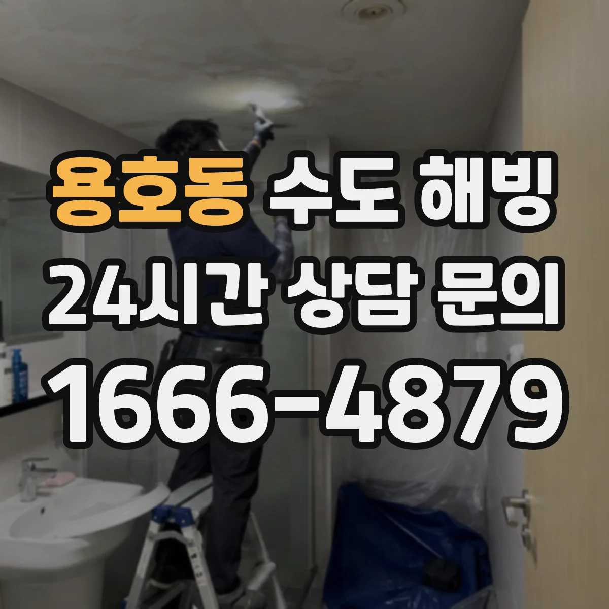 용호동 수도 해빙