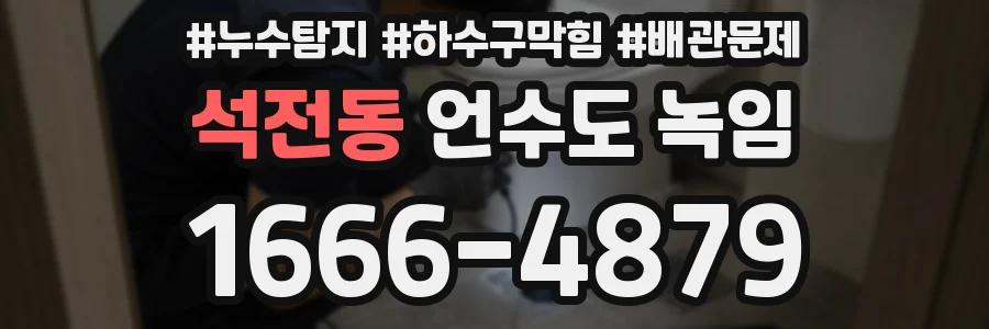 석전동 언수도 녹임