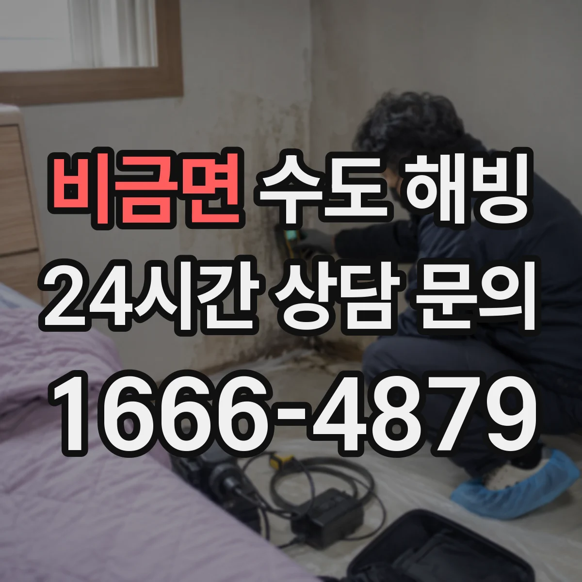 비금면 수도 해빙