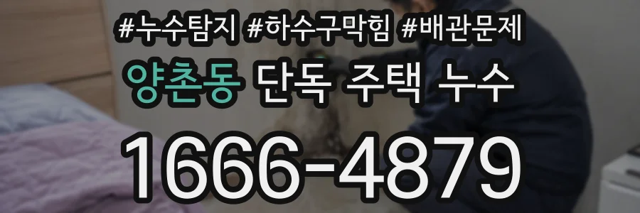 양촌동 단독 주택 누수