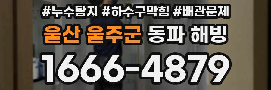 울산 울주군 동파 해빙
