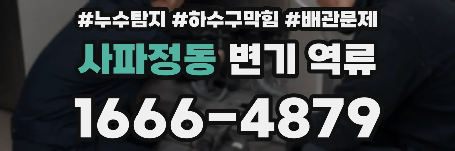 사파정동 변기 역류