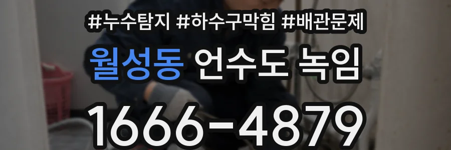 월성동 언수도 녹임
