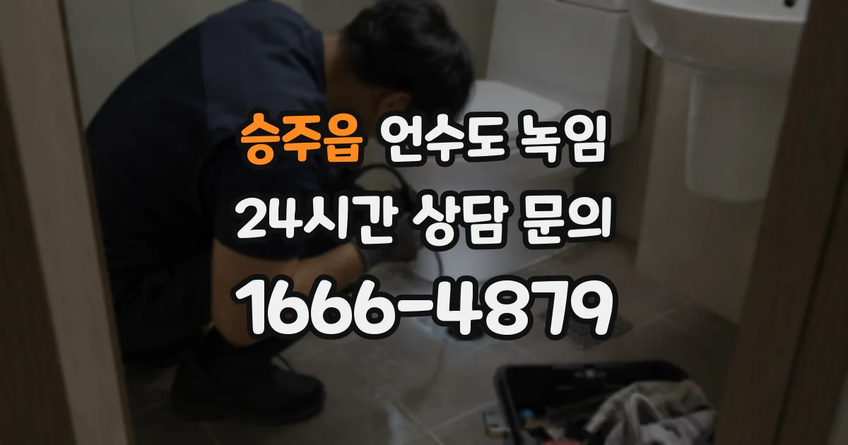 승주읍 언수도 녹임
