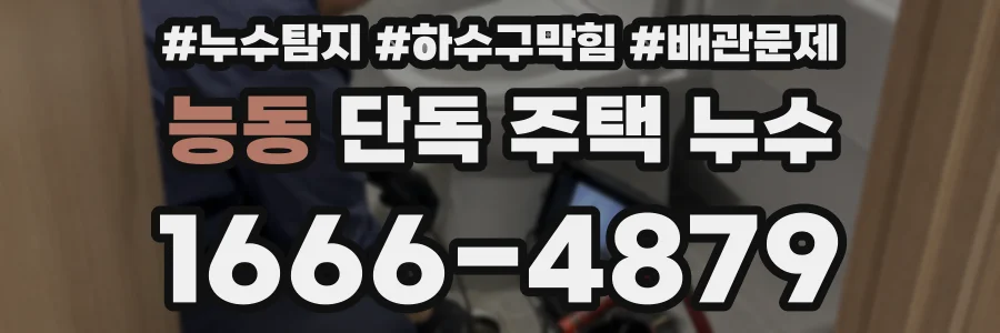 능동 단독 주택 누수