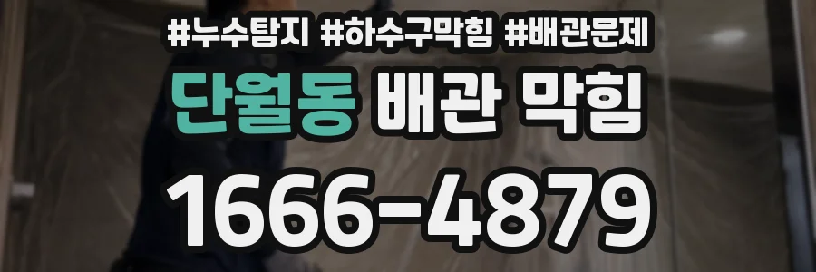 단월동 배관 막힘