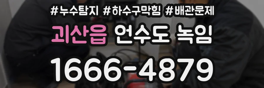괴산읍 언수도 녹임
