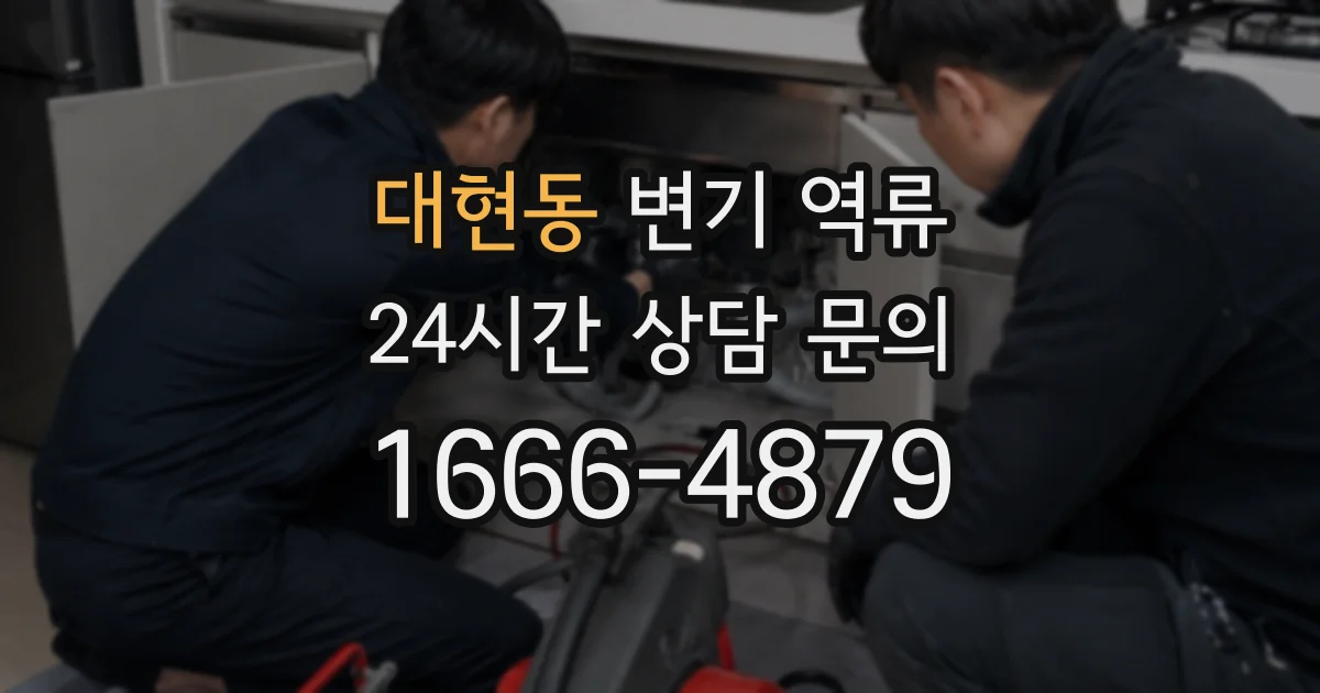 대현동 변기 역류