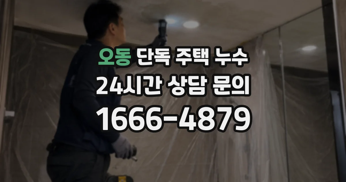 오동 단독 주택 누수