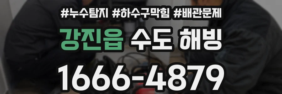 강진읍 수도 해빙