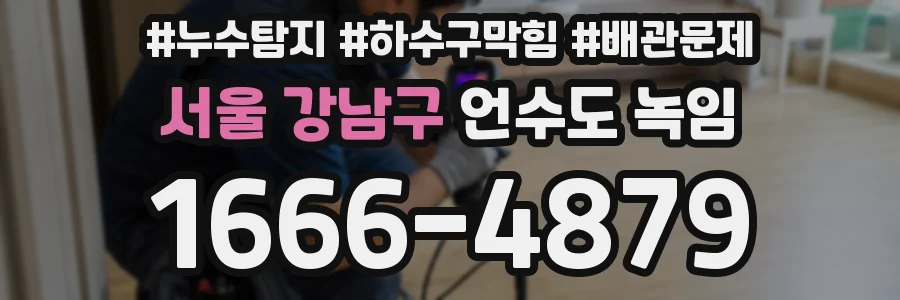 서울 강남구 언수도 녹임