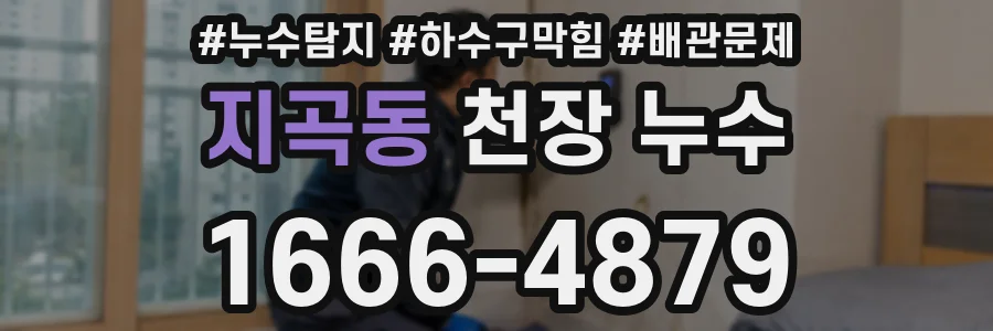 지곡동 천장 누수