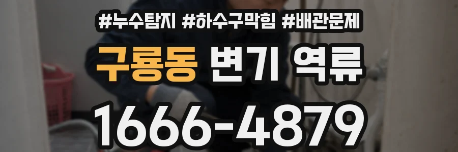 구룡동 변기 역류