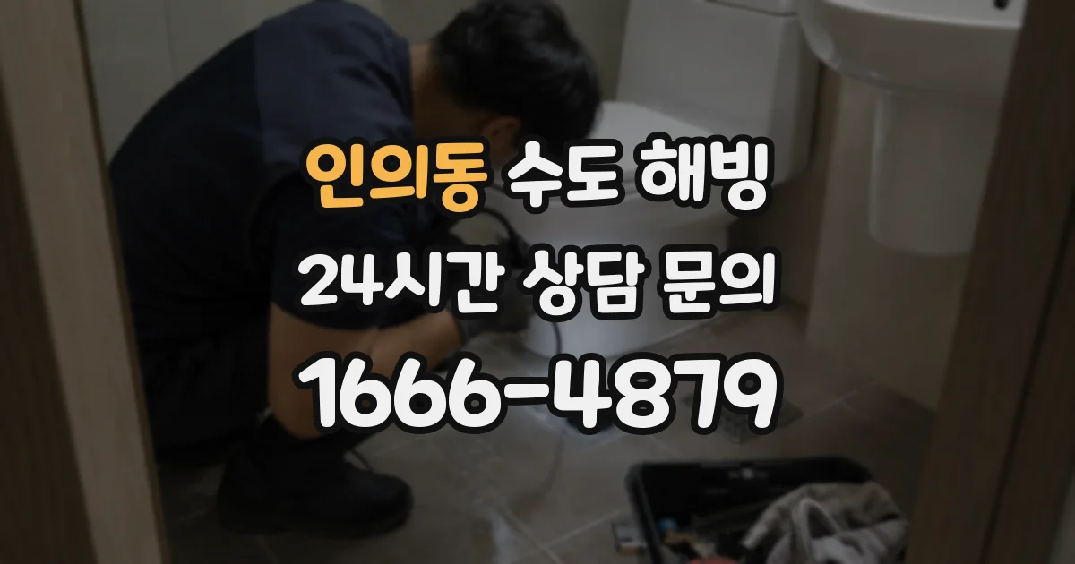 인의동 수도 해빙