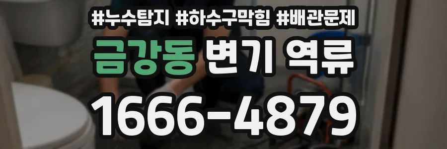 금강동 변기 역류