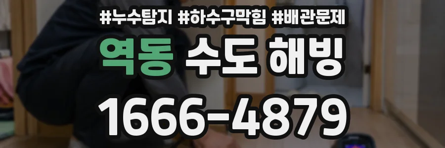 역동 수도 해빙