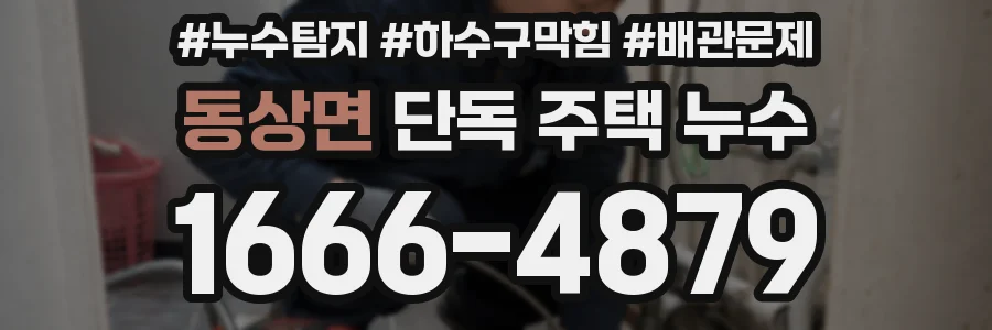 동상면 단독 주택 누수