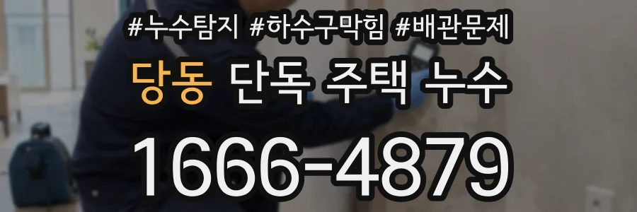 당동 단독 주택 누수